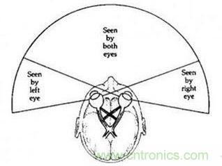 雙目重疊技術(shù)在VR中有什么作用？
