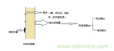 仿生傳感器的定義、原理、分類及應(yīng)用