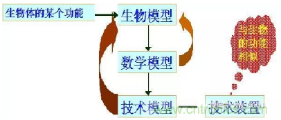 仿生傳感器的定義、原理、分類及應(yīng)用